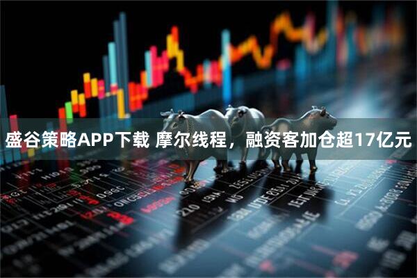 盛谷策略APP下载 摩尔线程，融资客加仓超17亿元