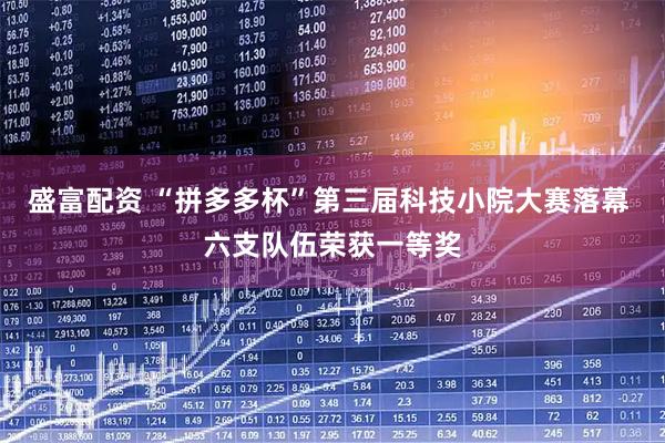 盛富配资 “拼多多杯”第三届科技小院大赛落幕 六支队伍荣获一等奖