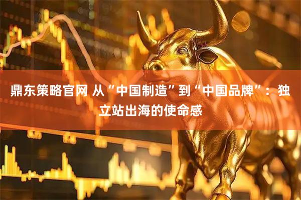 鼎东策略官网 从“中国制造”到“中国品牌”：独立站出海的使命感